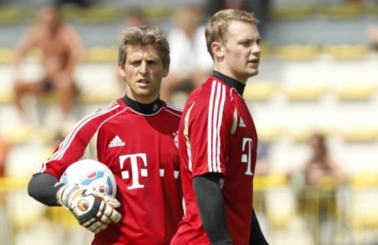 31个动物 31个动物